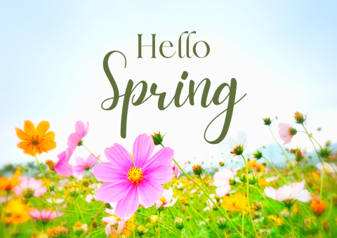 Short Guide for the Best Spring Activities!